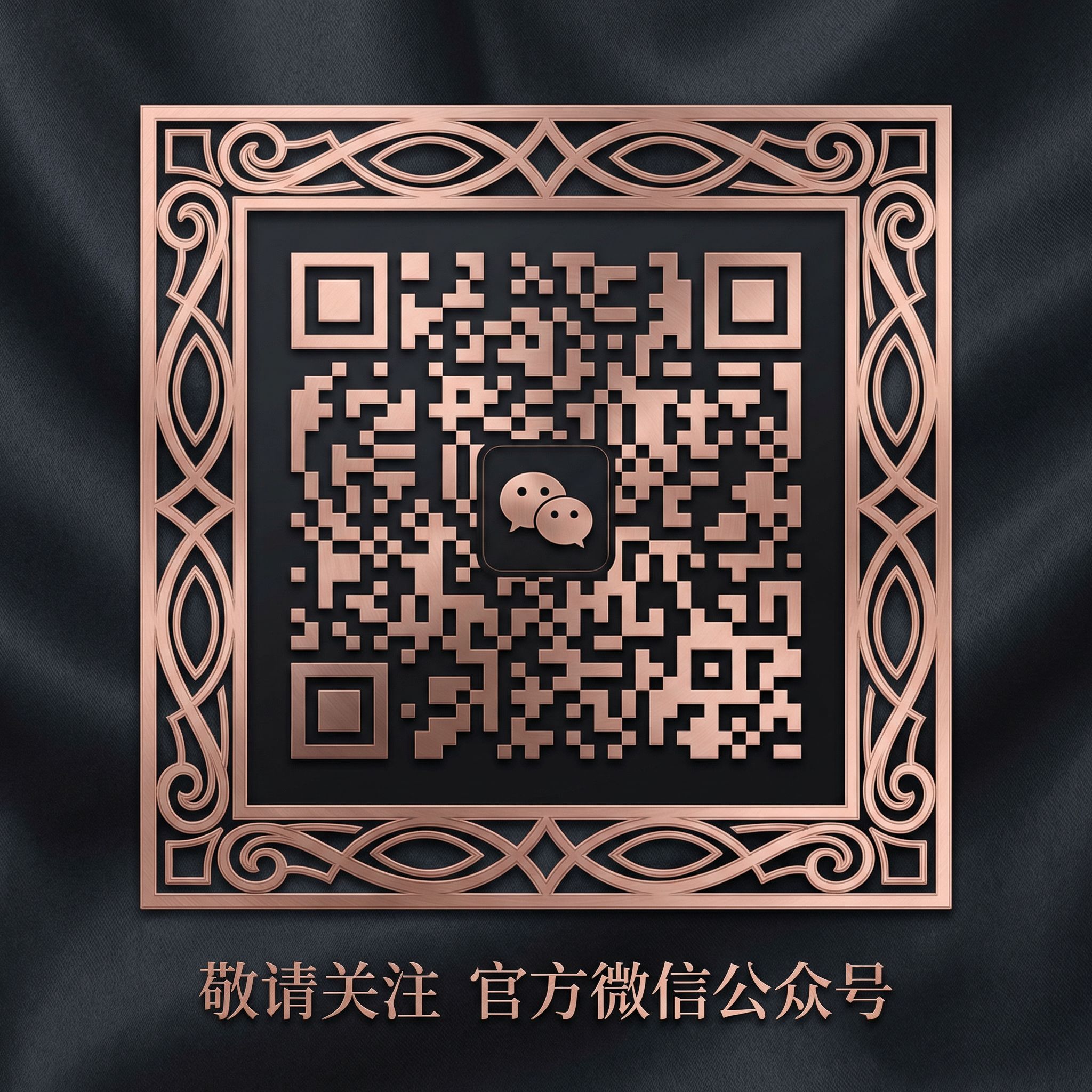 网红主播公众号二维码